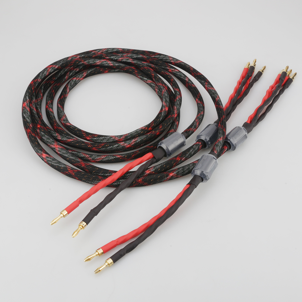 Cable de altavoz bi-cableado O - Home Cinema Amplifier reseña y precio
