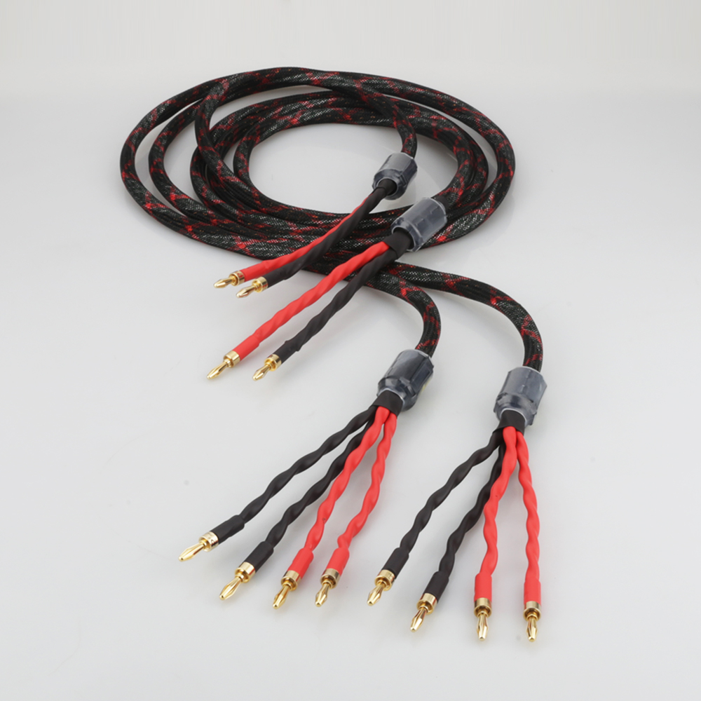 Cable de altavoz bi-cableado O - Home Cinema Amplifier reseña y precio