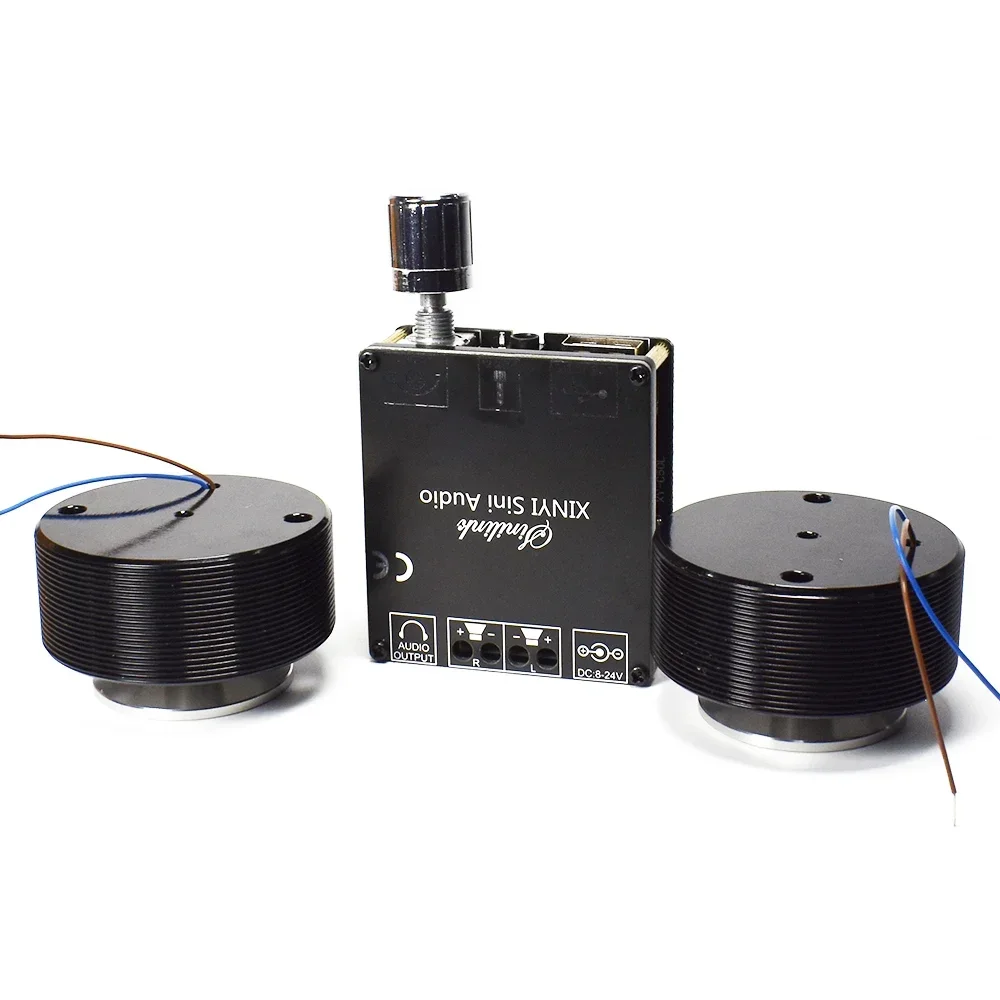 1 Juego de altavoz de vibració - Home Cinema Amplifier reseña y precio