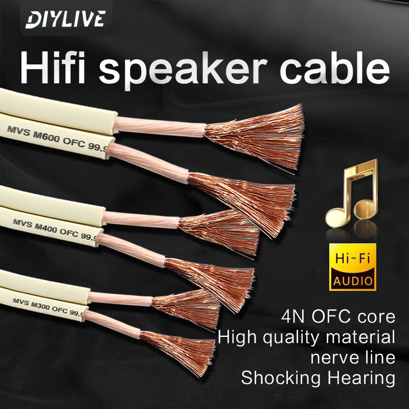 Cable de Audio HIFI DIYLIVE pa - Home Cinema Xlr reseña y precio