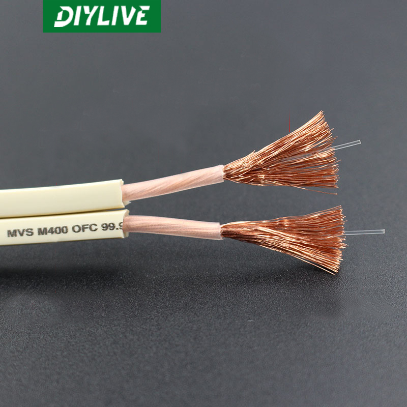 Cable de Audio HIFI DIYLIVE pa - Home Cinema Xlr reseña y precio