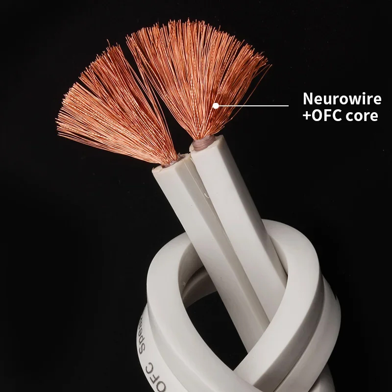 YYTCG DIY Cable de altavoz Cab - Home Cinema Amplifier reseña y precio