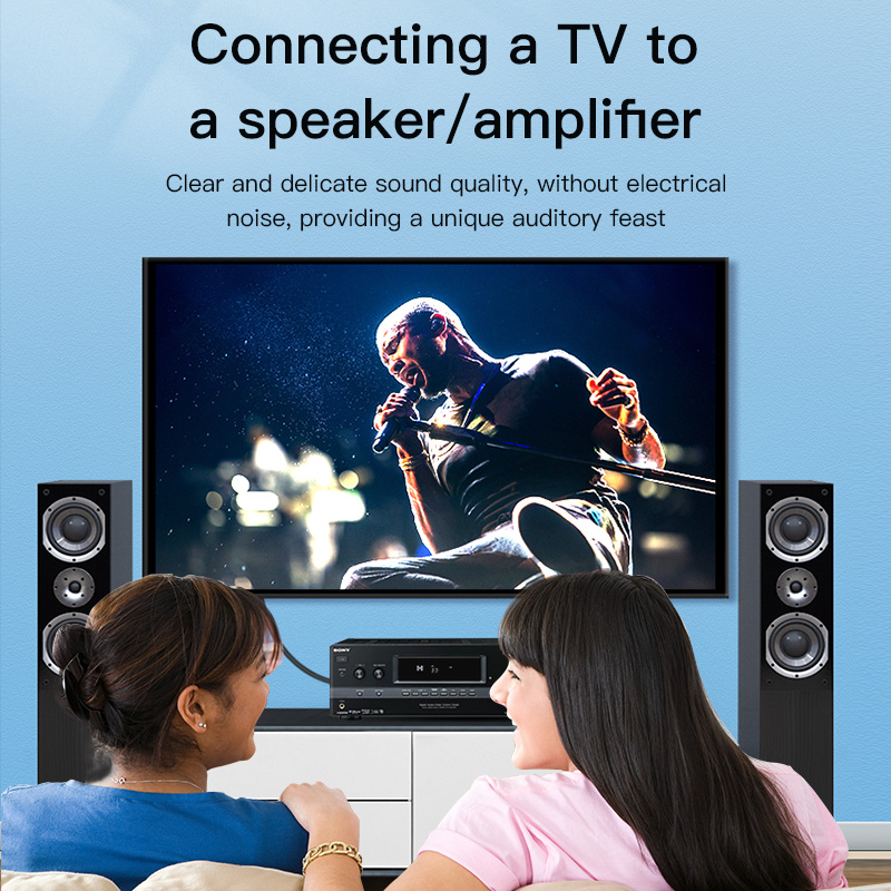 Cable RCA CHOSEAL, Cable de Au - Home Cinema Amplifier reseña y precio